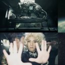 비지닷컴 이미지