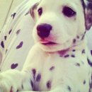 몽몽이# 이미지