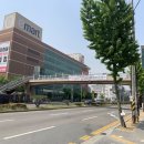 이마트 앞 횡단보도 이미지