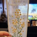 [폭싹속았수다 홍보모음] 아이유 박보검 폭싹 홍보 활동 모음집.