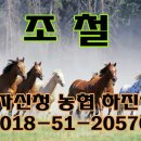 ◆ [3/09] 일요경마..[메인A급] “6R“/ 종칠때까지 푹! 이미지