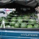 풍각농약사 이미지