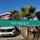 제주서쪽감성숙소 제주애물들다 이미지