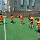 용인대스포츠클럽 이미지