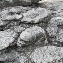 소금빌레 이미지