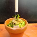 지일농장 이미지