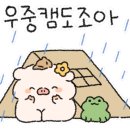 평창 국민여가캠핑장 이미지