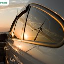 광선자동차나라 이미지