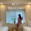 월령소라스테이 네이버블로그
