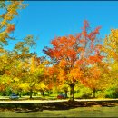 가을하늘 이미지