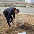 연강농장 이미지