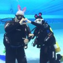 민트스쿠버 이미지