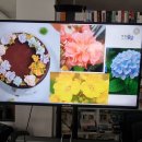 고양시 향동 앙금플라워 쌀케익 원데이 클래스 행복지음쌀케이크