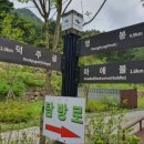 월악산황토펜션 이미지