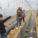 농가맛집뜰 이미지