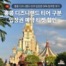 쿠폰 | 홍콩 디즈니랜드 티어 입장권 DPA 밀쿠폰 후기 예약 티켓 할인