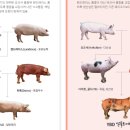 영미트팜 이미지