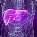 위담한방병원 이미지