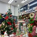 다음카페앱 화질 설정 이미지