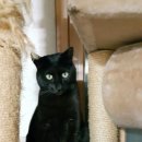 무악재역 이미지