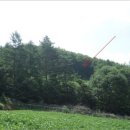 강림면331 이미지