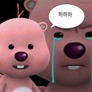 강릉자동차운전학원 이미지