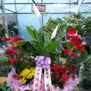 유현석치과의원 이미지