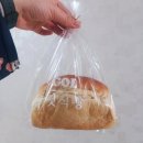 갓식빵 | 다대포 낫개 갓식빵 내돈내산후기