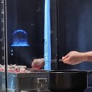 누벨퀴진 이미지