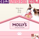 스푼샵 이미지