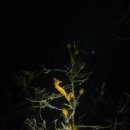 남해-267 이미지