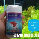 화이트크레인 이미지