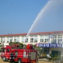 월평초교 이미지