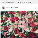아마존 꽃 식물원 이미지