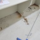 서울아산신경외과의원 이미지