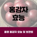 홍영식품