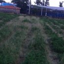 토산농장 이미지