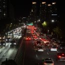 해양곰장어 | 마산가고파 국화축제 주차장 먹거리 첫날 다녀온 후기