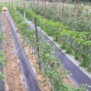 금산흥농 이미지