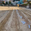 남부민초등학교 이미지