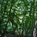 부자막국수 이미지