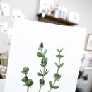 수채화와 드로잉 이미지