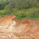 한스바움 이미지