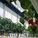 김동언농장 이미지