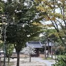 안동여행 가성비 한옥 숙소 추천 선성현문화단지 민가촌 후기