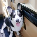 옥동교차로 부근 이미지