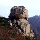 산중농원 이미지