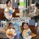 SUJI수지 | 동물체험+키즈카페 한 번에 해결!! 애니멀클럽 수지점 리얼 후기