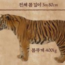 대호컴퓨터