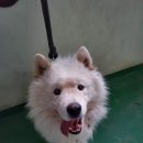 아산호로 이미지